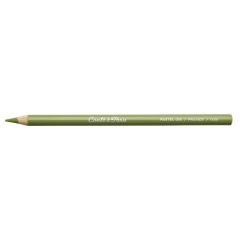 Pastel Kalemi - N:016 Olive Green