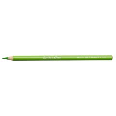 Pastel Kalemi - N:008 Light Green