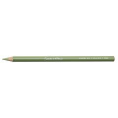 Pastel Kalemi - N:051 Green Grey