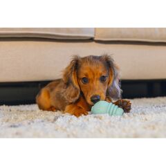 Beeztees Yavru Köpek Sumo Mını Dental Oyuncak Xs 3-6 kg