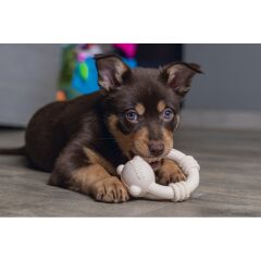 Beeztees Sumo Mını Dental Oyuncak Pembe 9,5x10,5 cm