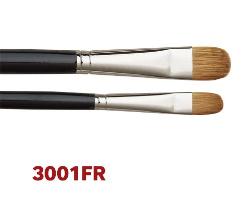 3001FR Kedi Dili Fırça N:2