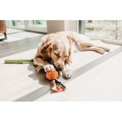 Beeztees İpli Turuncu Top Köpek Oyuncak 31,8x7,9x7,9 cm