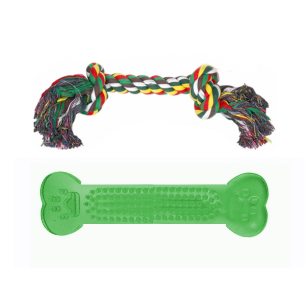 Ans Dental Plastik Köpek Oyuncak + Diş İpi 14 x 22 cm Yeşil