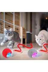 Hareketli Şarjlı Işıklı 360 Derece Dönen Akıllı Oyun Topu Kuyruklu İnteraktif Kedi Köpek Oyun Topu