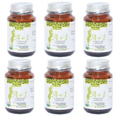 A1 L-Carnitine Lepidium Bitkisel 30 Kapsül X 6 Adet