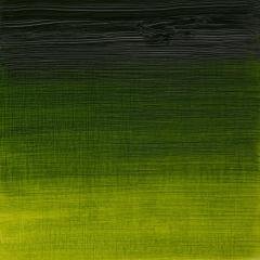 Artists Yağlı Boya - Sap Green - 37ml - Seri 2