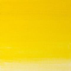 Artists Yağlı Boya - Winsor Yellow - 37ml - Seri 2