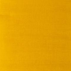 Artists Yağlı Boya - Yellow Ochre Light - 37ml - Seri 1