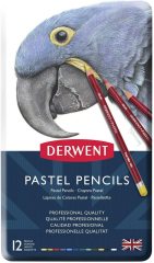 Pastel Pencils 12'li