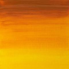 Artists Yağlı Boya - Indian Yellow - 37ml - Seri 2