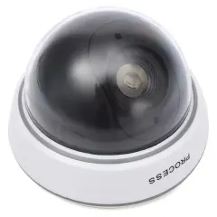 Powermaster Pm-2001 Kırmızı Ledli Maket Dome Kamera