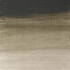 Artists Yağlı Boya - Davy's Gray - 37ml - Seri 2