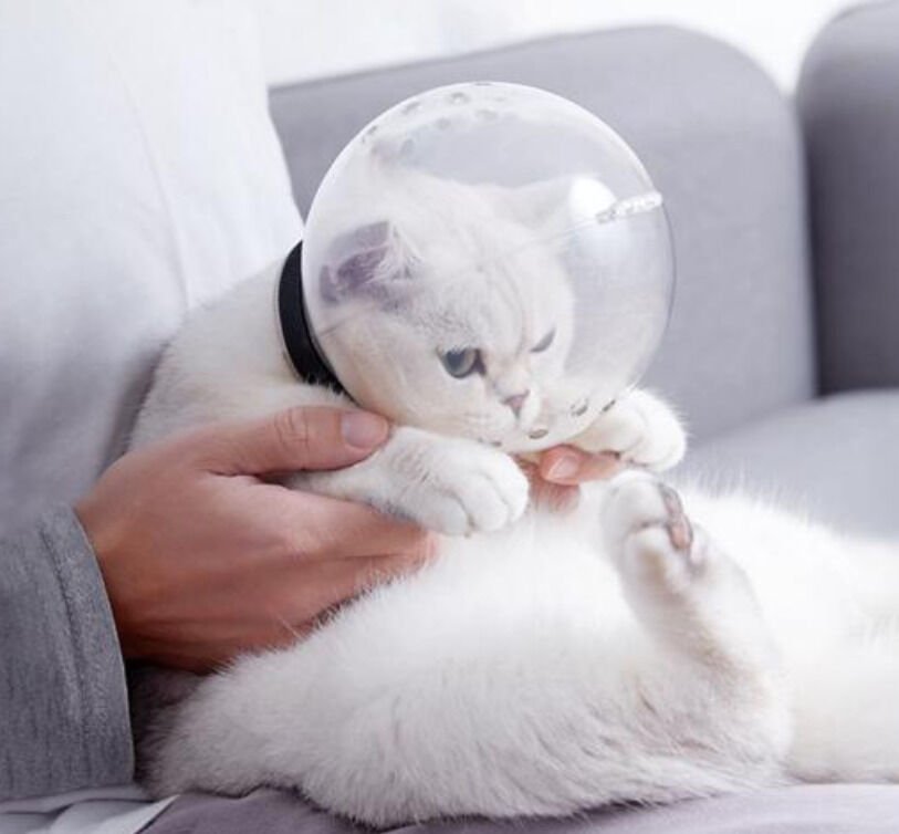 Markapet Kedi Isırma ve Tırmalama Engelleyici Kedi Bakım Küresi 8x14 cm