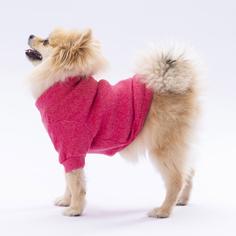 Pawstar Pembe Merino Sweat Large 30X33X46 cm