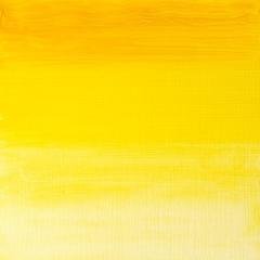 Artists Yağlı Boya - Transparent Yellow  - 37ml - Seri 4