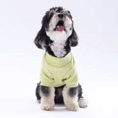 Pawstar Yellow Merino Sweat Large 30X33X46 cm