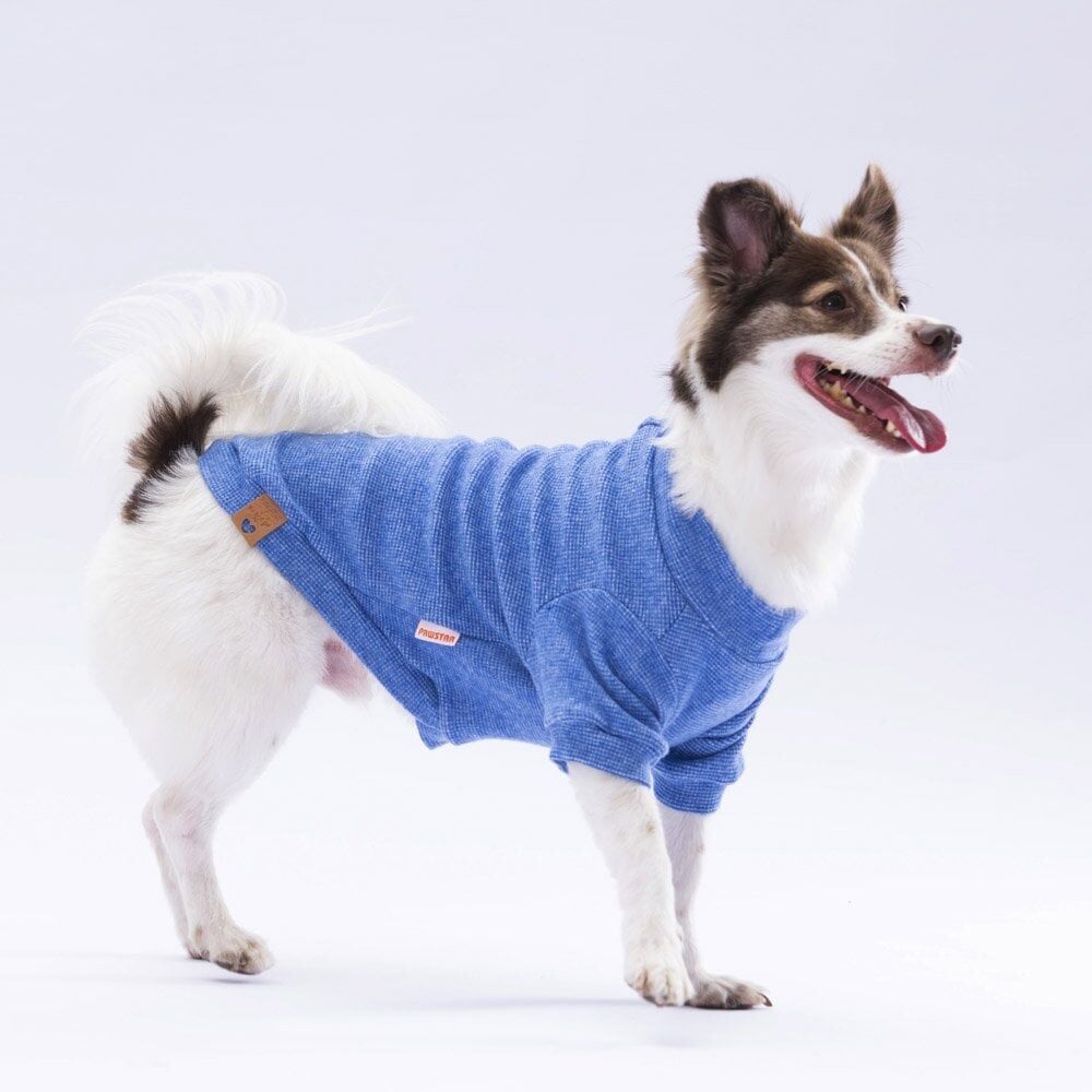 Pawstar Blue Merino Sweat Large 30X33X46 cm
