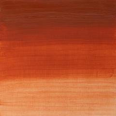 Artists Yağlı Boya - Transparent Red Ochre - 37ml - Seri 1