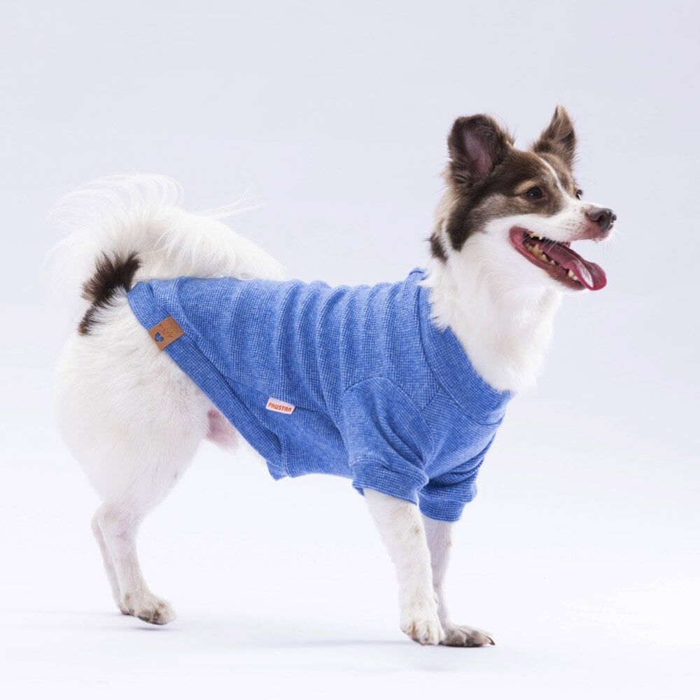 Pawstar Blue Merino Sweat XXarge 38X43X58 cm