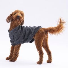 Pawstar Black Merino Sweat Large 30X33X46 cm