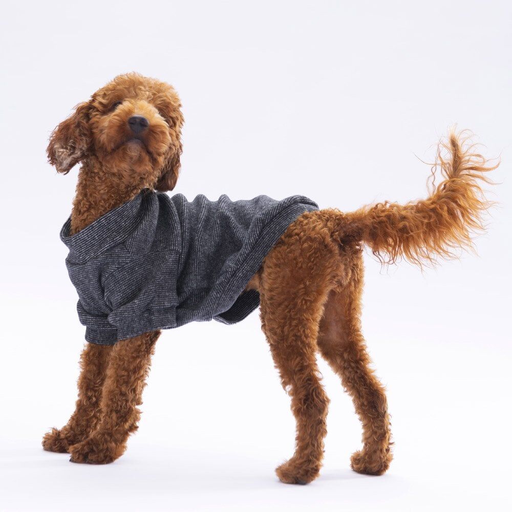 Pawstar Black Merino Sweat XXarge 38X43X58 cm