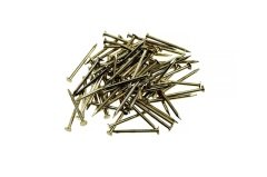 Altın Sarı Çivi - 20x11,5mm - 18gr