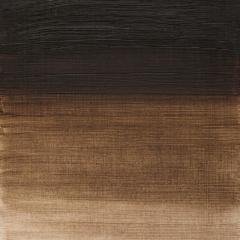 Winton Yağlı Boya 37ml - N:035 Raw Umber