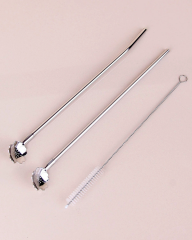 Paslanmaz Metal 2 Li Kaşıklı Pipet Fırça Seti
