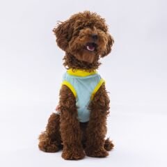 Pawstar Mint Sunrise Tişört XLarge 34*38*55 cm