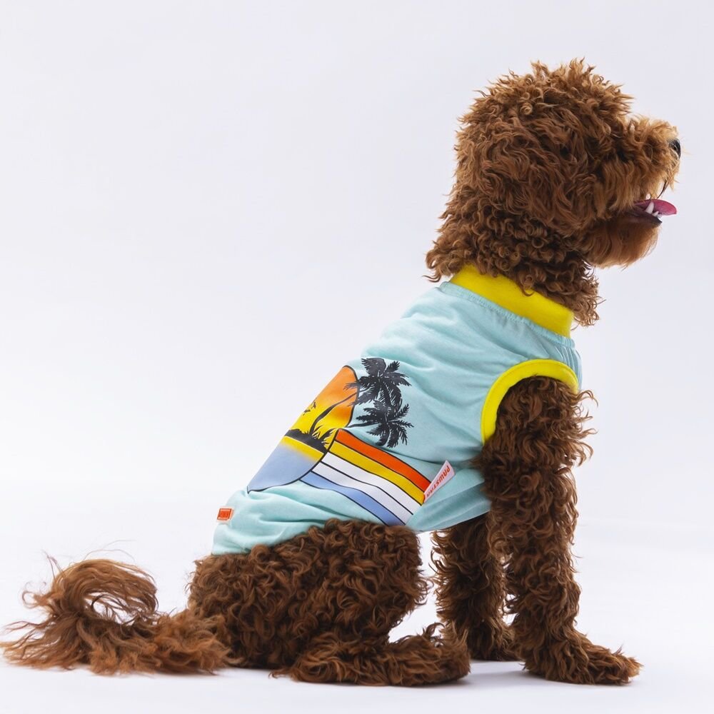 Pawstar Mint Sunrise Tişört XXLarge 38X43X58 cm