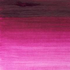 Winton Yağlı Boya 37ML S:28 Magenta