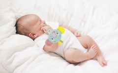 Babyjem Ahşap Halkalı Küçük Oyuncak Fil Yeşil