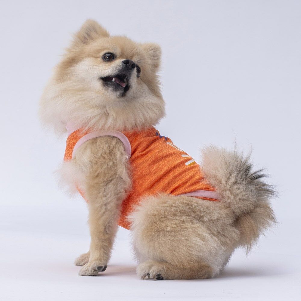 Pawstar Orange Joy Tişört XLarge 34*38*55 cm