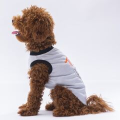 Pawstar Grey Travel Tişört XLarge 34*38*55 cm