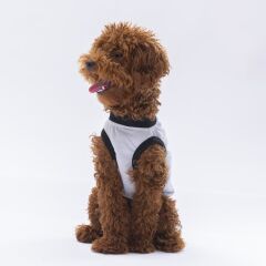 Pawstar Grey Travel Tişört XXLarge 38X43X58 cm