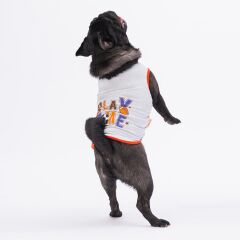 Pawstar Grey Sporty Tişört Small 23x24x37 cm