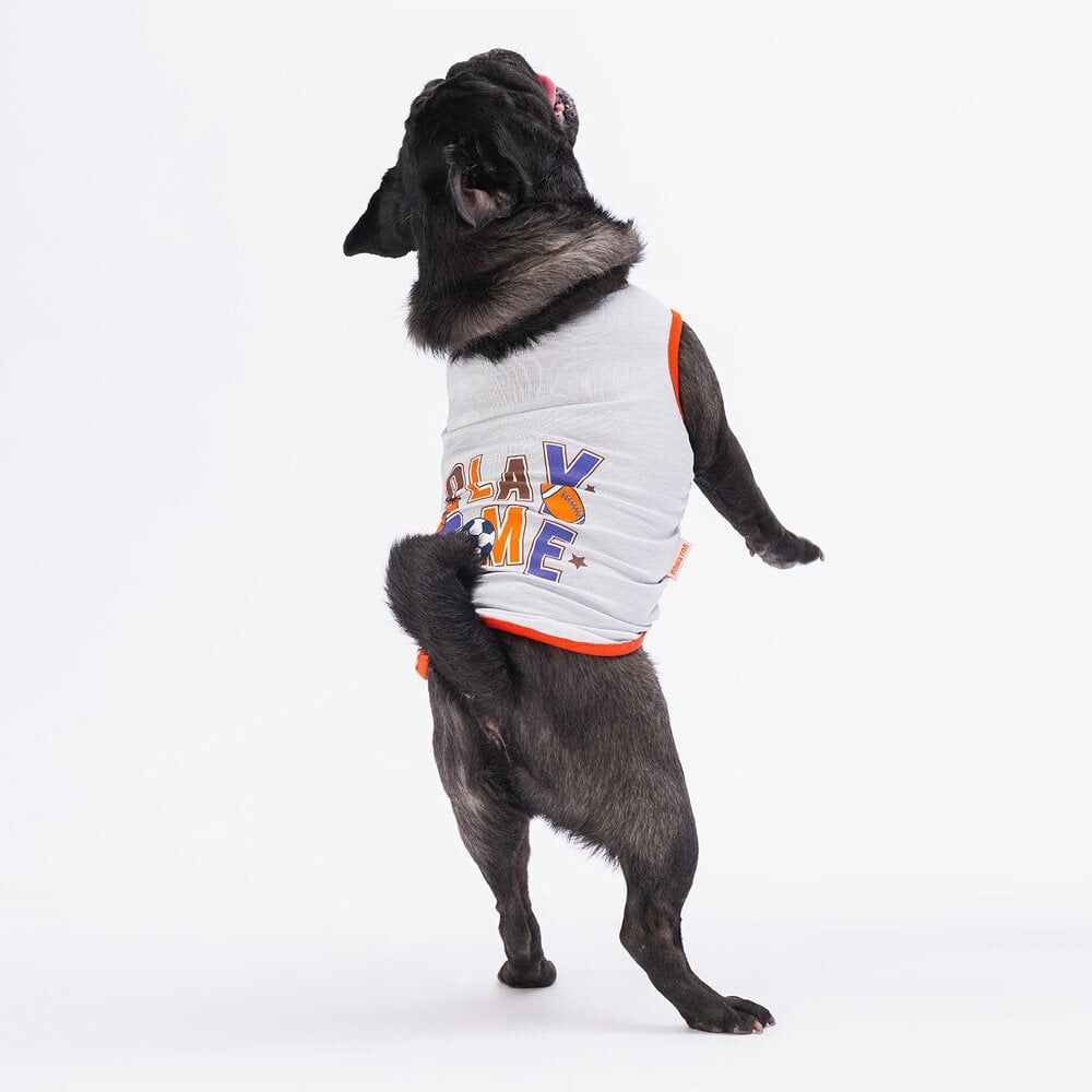 Pawstar Grey Sporty Tişört Medium 26x28x41 cm