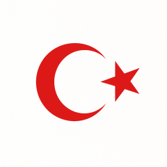 Türk Bayrağı Oto Sticker Kırmızı 23x17 cm