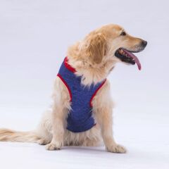 Pawstar Navy Blue Summer Time Büyük T-shirt 6XLarge  55X69X86 CM