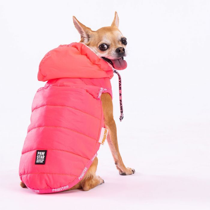 Pawstar Neon Fuchsia Railway Vest Köpek Montu 2XLarge 38x43x58 cm