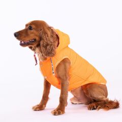 Pawstar Neon Orange Railway Vest Köpek Montu Large 30x33x46 cm