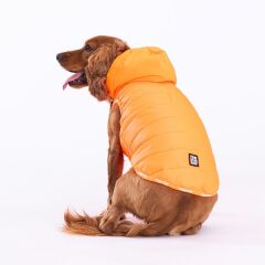 Pawstar Neon Orange Railway Vest Köpek Montu 2XLarge 38x43x58 cm