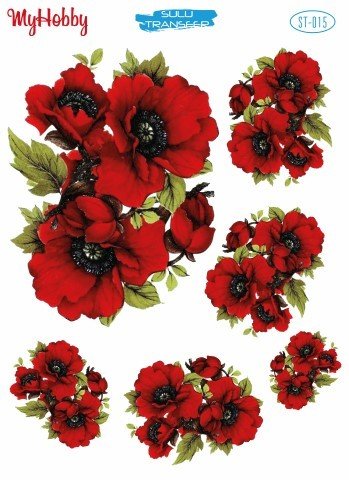 Sulu Transfer 25x35cm ST-015