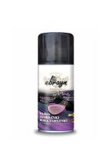 Ebrayn Klima Temizleyici Klima Bombası Hava Tazeleyici Kokulu 150 ml 1 Adet