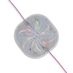 Powermaster 12 Volt 3 Watt Karışık (r+g+b) Yanıp Sönen 6565-2835 Modül Led