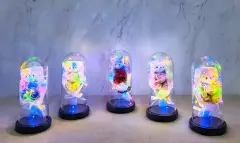 Işıklı Müzikli Fanus İçinde Sevimli Ayıcıklı Gül Buketi