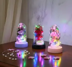 Işıklı Müzikli Romantik Fanus Tekli Gül