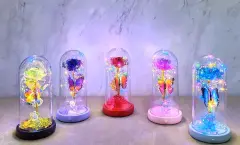 Işıklı Müzikli Romantik Kelebekli Fanus İçinde Gül