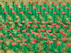 Asters Çiçeği HO 1/87